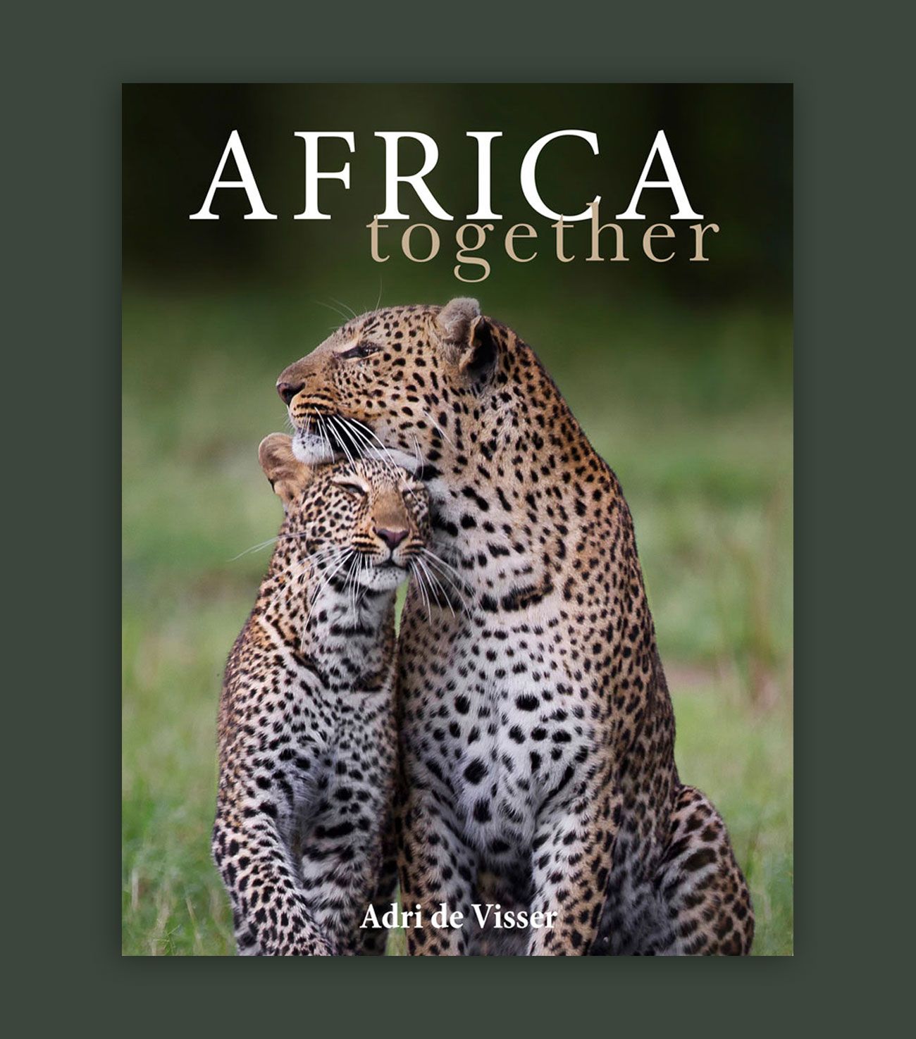 Africa together; Africa; Africa; Adri de visser; beroving in Kenia; Kenya; Wildlife; Kenia wildlife; zes kogels